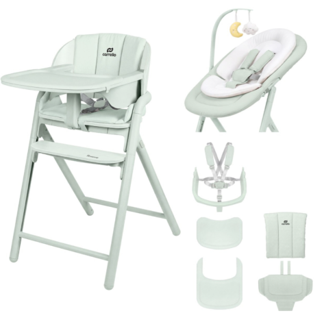 Стільчик для годування "Carello"Tenero 9507 Elysium Green